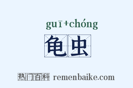 龟虫是什么意思的图片